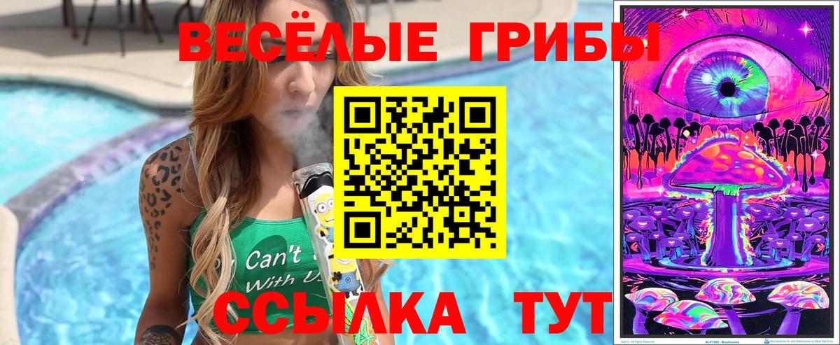 Галлюциногенные грибы Cubensis  Вход с VPN  Братск  Псилоцибиновые грибы Cubensis 